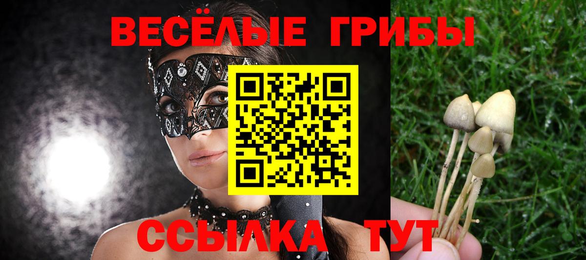 Галлюциногенные грибы Psilocybe Гусев